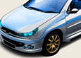206 Modifiye