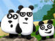 3 Panda