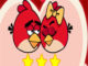 Angry Birds Aşkı