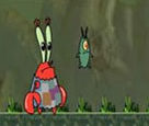 Bay Yengeç ve Plankton