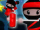 Boyacı Ninja