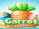 Carrot Fantasy