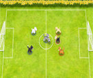 Evcil Hayvan Futbolu