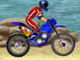 FMX Team