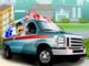 Hızlı Ambulans Şoförü