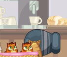 Kedi Köpek Savaşı