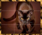 Kedi Puzzle