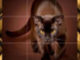 Kedi Puzzle