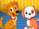 Köpek Bakım Merkezi
