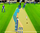Kriket Maçı