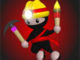 Madenci Ninja