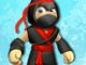 Ninja Macera