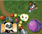Panda Zuma