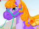 Pony ve Sahibi