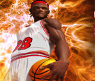 Profesyonel Basket