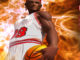 Profesyonel Basket