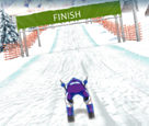 Ski Slalom
