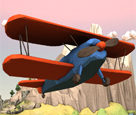 Swoop
