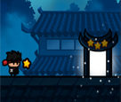 The Ninja