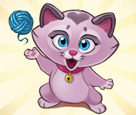 Yumak Zuma